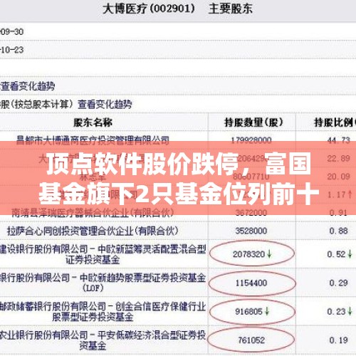 顶点软件股价跌停，富国基金旗下2只基金位列前十大股东