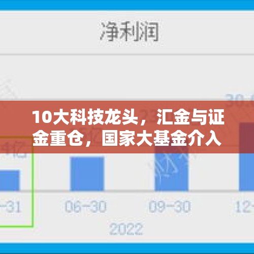 10大科技龙头，汇金与证金重仓，国家大基金介入，社保与外资加仓