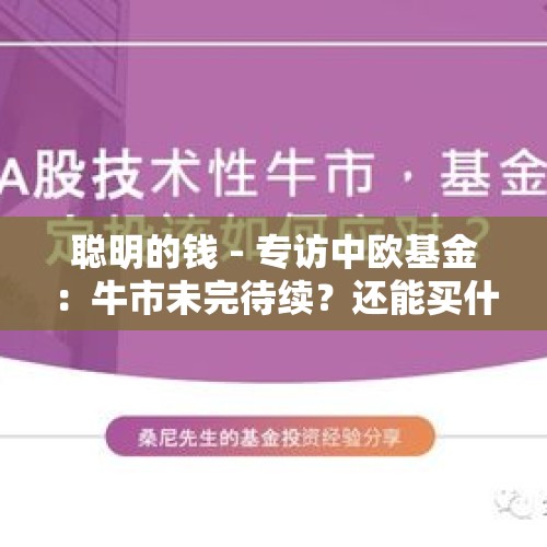 聪明的钱 - 专访中欧基金：牛市未完待续？还能买什么？