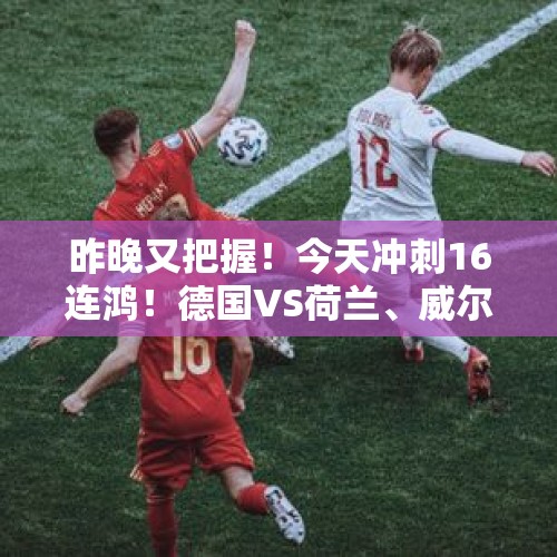 昨晚又把握！今天冲刺16连鸿！德国VS荷兰、威尔士VS黑山！没压力