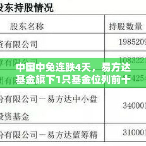 中国中免连跌4天，易方达基金旗下1只基金位列前十大股东