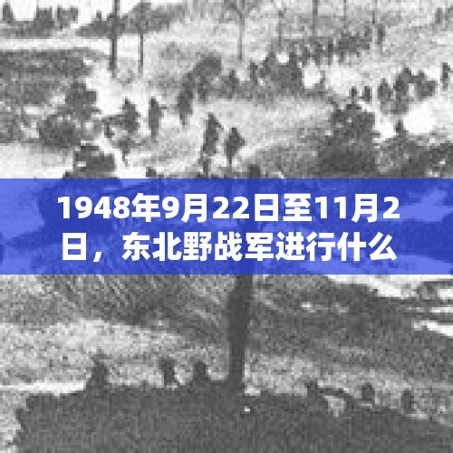 1948年9月22日至11月2日，东北野战军进行什么战役？，CBA第13轮，辽宁男篮主场胜福建，你怎么看待辽宁球员的发挥？