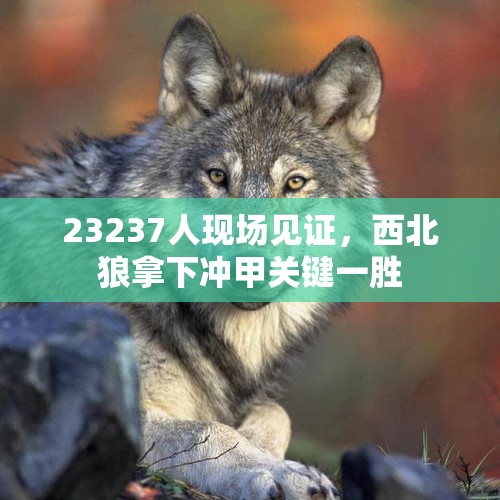 23237人现场见证，西北狼拿下冲甲关键一胜