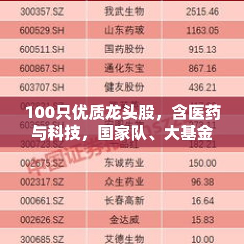 100只优质龙头股，含医药与科技，国家队、大基金与社保外资重仓