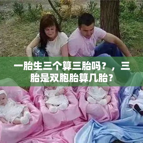 一胎生三个算三胎吗？，三胎是双胞胎算几胎？