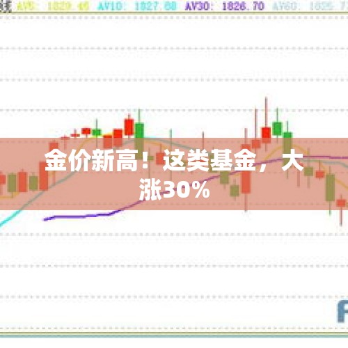 金价新高！这类基金，大涨30%