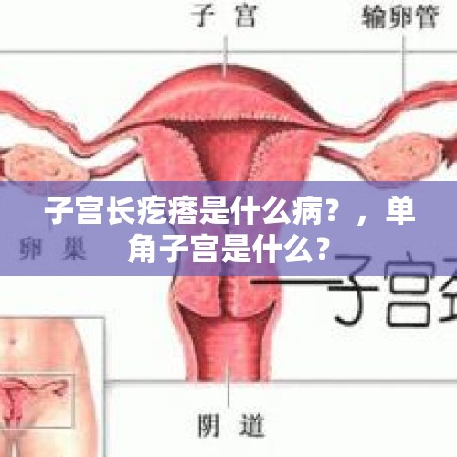 子宫长疙瘩是什么病？，单角子宫是什么？