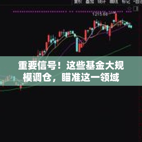 重要信号！这些基金大规模调仓，瞄准这一领域