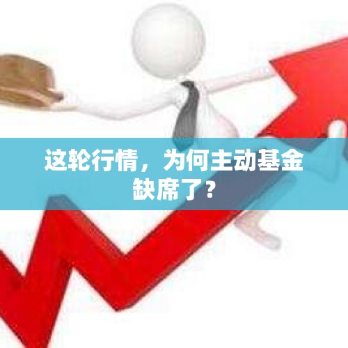 这轮行情，为何主动基金缺席了？