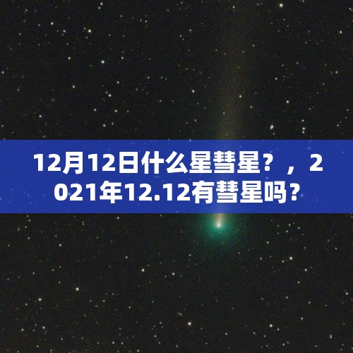 “这是大屠杀”，以色列称荷兰发生反犹暴力袭击！多人受伤，62人被捕！内塔尼亚胡强硬发声，以外长将访荷 - 今日头条