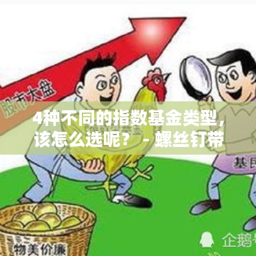 4种不同的指数基金类型，该怎么选呢？ - 螺丝钉带你读书