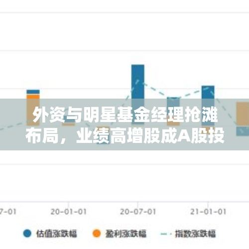 外资与明星基金经理抢滩布局，业绩高增股成A股投资新热点