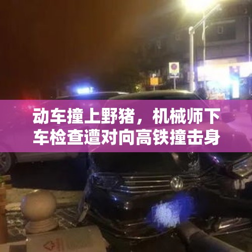 动车撞上野猪，机械师下车检查遭对向高铁撞击身亡，事发时速130公里