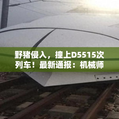 野猪侵入，撞上D5515次列车！最新通报：机械师身亡