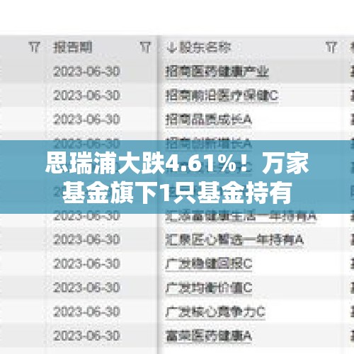 思瑞浦大跌4.61%！万家基金旗下1只基金持有