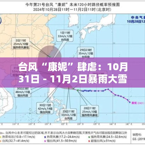 台风“康妮”肆虐：10月31日 - 11月2日暴雨大雪天气状况详析 