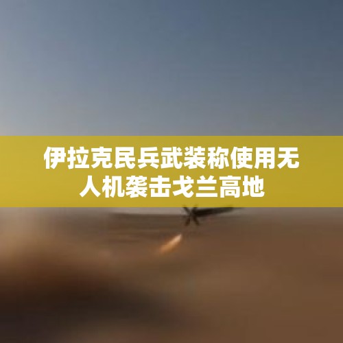 伊拉克民兵武装称使用无人机袭击戈兰高地