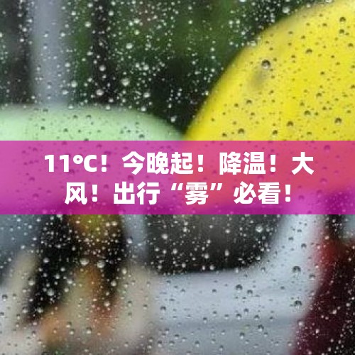 11℃！今晚起！降温！大风！出行“雾”必看！