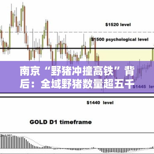 南京“野猪冲撞高铁”背后：全域野猪数量超五千只，专家吁加强种群调控