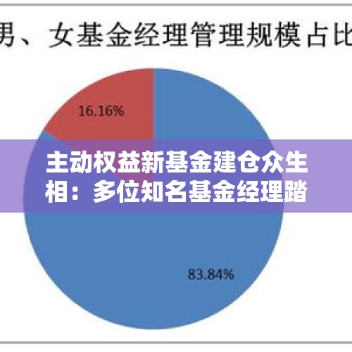 主动权益新基金建仓众生相：多位知名基金经理踏空？也有产品成立不足两月大涨近40%