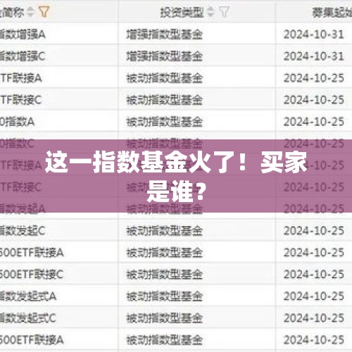这一指数基金火了！买家是谁？