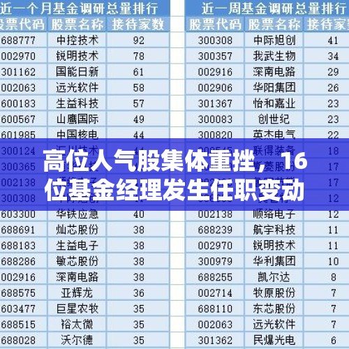 高位人气股集体重挫，16位基金经理发生任职变动