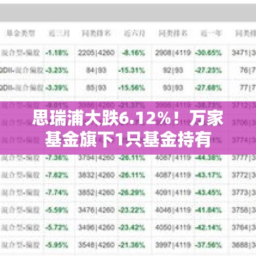 思瑞浦大跌6.12%！万家基金旗下1只基金持有