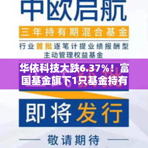 华依科技大跌6.37%！富国基金旗下1只基金持有