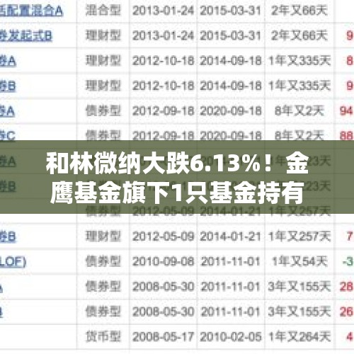 和林微纳大跌6.13%！金鹰基金旗下1只基金持有