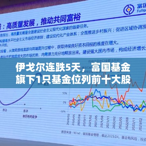 伊戈尔连跌5天，富国基金旗下1只基金位列前十大股东