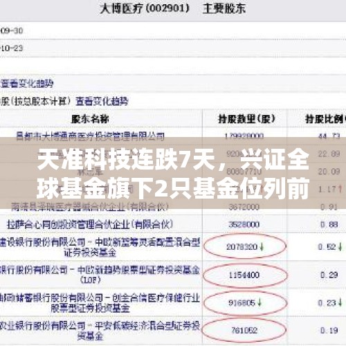 天准科技连跌7天，兴证全球基金旗下2只基金位列前十大股东