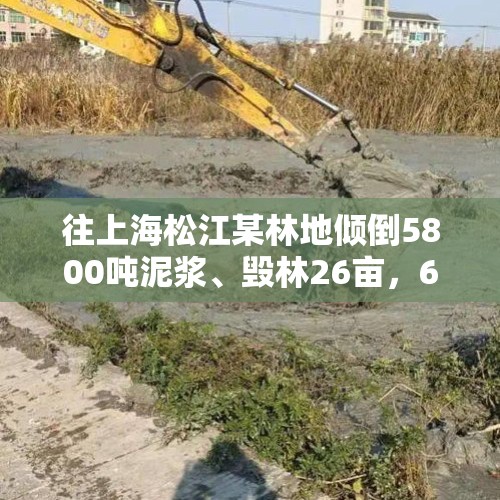 往上海松江某林地倾倒5800吨泥浆、毁林26亩，6人获刑