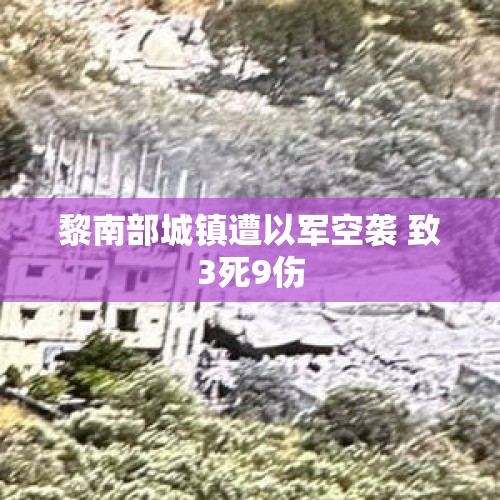 黎南部城镇遭以军空袭 致3死9伤