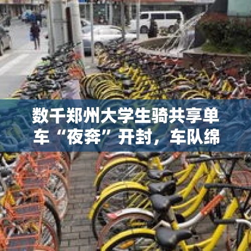 数千郑州大学生骑共享单车“夜奔”开封，车队绵延数十公里，相关部门凌晨护航