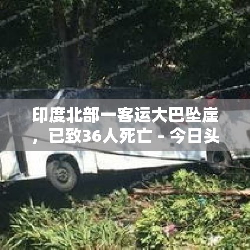 印度北部一客运大巴坠崖，已致36人死亡 - 今日头条