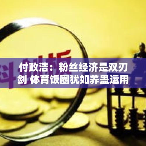 付政浩：粉丝经济是双刃剑 体育饭圈犹如养蛊运用不当会立时反噬 - 今日头条