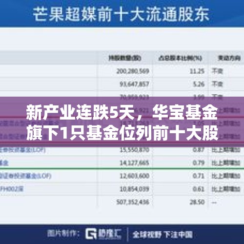 新产业连跌5天，华宝基金旗下1只基金位列前十大股东 - 今日头条