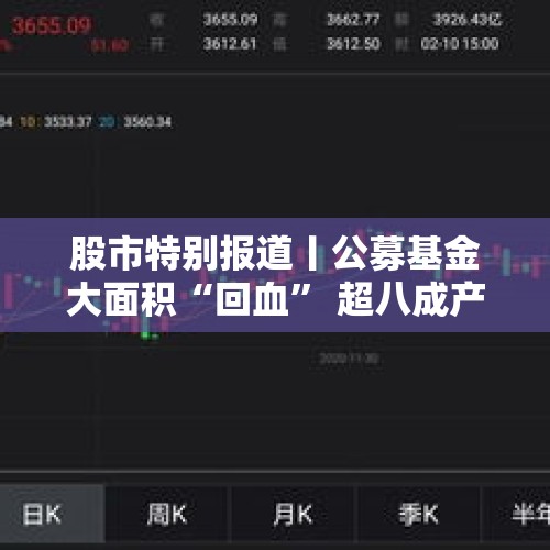 股市特别报道丨公募基金大面积“回血” 超八成产品年内实现正收益 - 今日头条