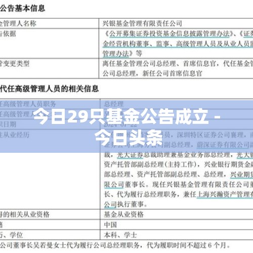 今日29只基金公告成立 - 今日头条