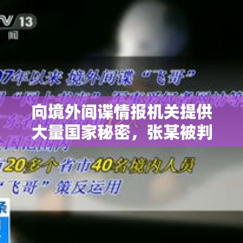 向境外间谍情报机关提供大量国家秘密，张某被判死刑 - 今日头条