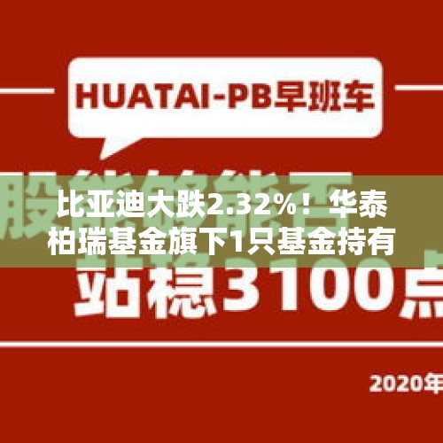 比亚迪大跌2.32%！华泰柏瑞基金旗下1只基金持有 - 今日头条