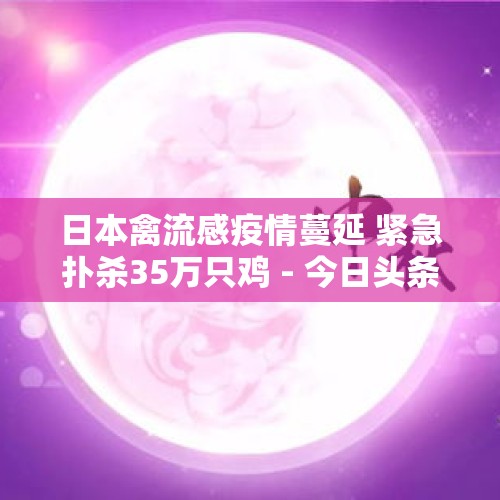 日本禽流感疫情蔓延 紧急扑杀35万只鸡 - 今日头条