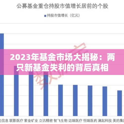 2023年基金市场大揭秘：两只新基金失利的背后真相！ - 今日头条