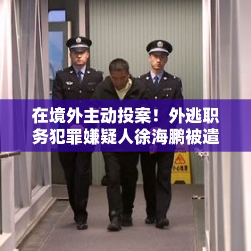 在境外主动投案！外逃职务犯罪嫌疑人徐海鹏被遣返回国 - 今日头条