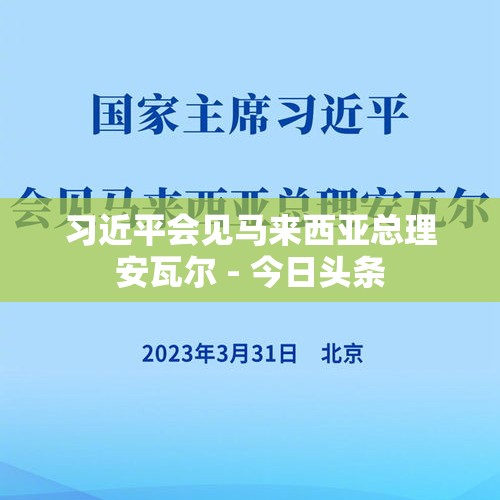 习近平会见马来西亚总理安瓦尔 - 今日头条