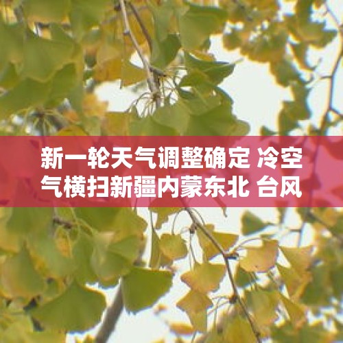 新一轮天气调整确定 冷空气横扫新疆内蒙东北 台风 银杏 搅动南部海域 - 今日头条