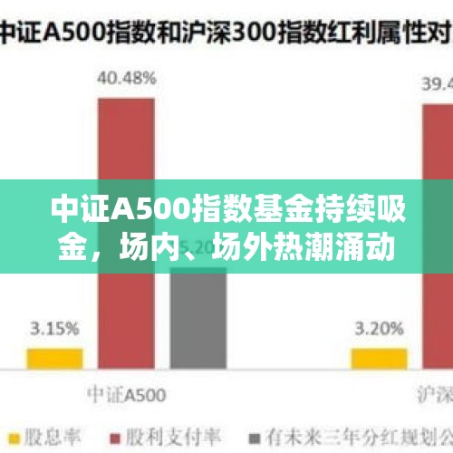 中证A500指数基金持续吸金，场内、场外热潮涌动 - 今日头条