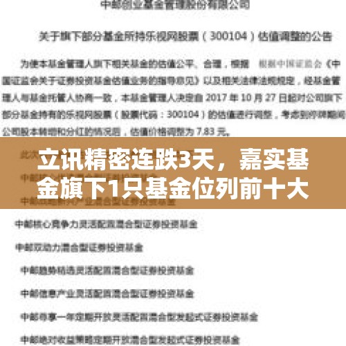 立讯精密连跌3天，嘉实基金旗下1只基金位列前十大股东 - 今日头条