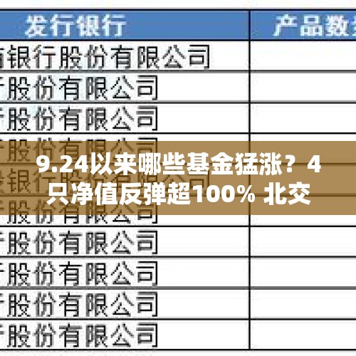 9.24以来哪些基金猛涨？4只净值反弹超100% 北交所成“财富密码” - 今日头条