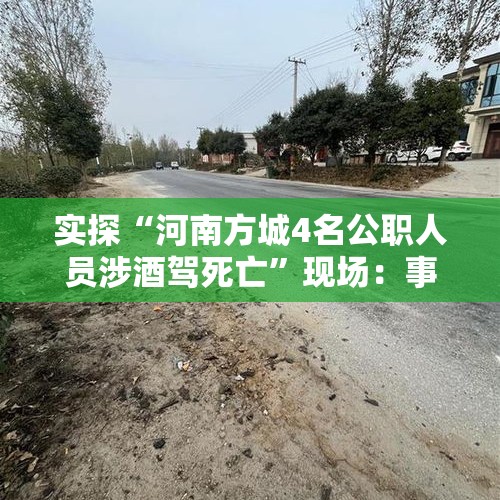 实探“河南方城4名公职人员涉酒驾死亡”现场：事发一处弯道，目击者称小车车头部分“插进”大货车底盘 - 今日头条